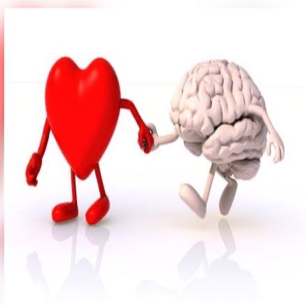 corazon y cerebro